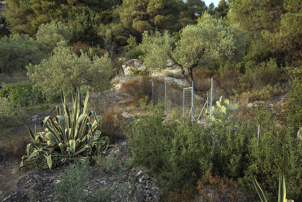 Spathies Kalogria  Exterior photo